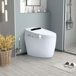 Smart Toilet with Heated Bidet.