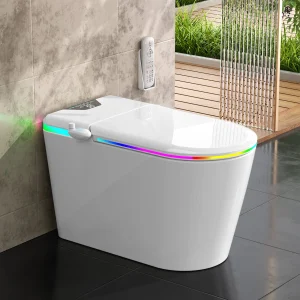 Smart Toilet With Bidet.