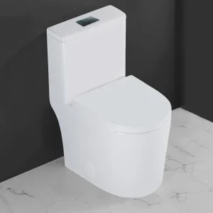 Small Toilet One Piece Design.