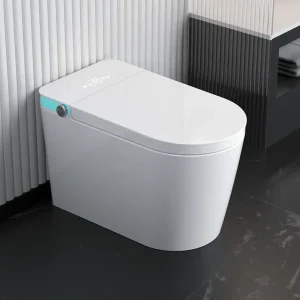Elongated Smart Toilet with Bidet Built in, 80MM Widened Heated Bidet Seat, Adjustable Warm Water Washing and Air Drying